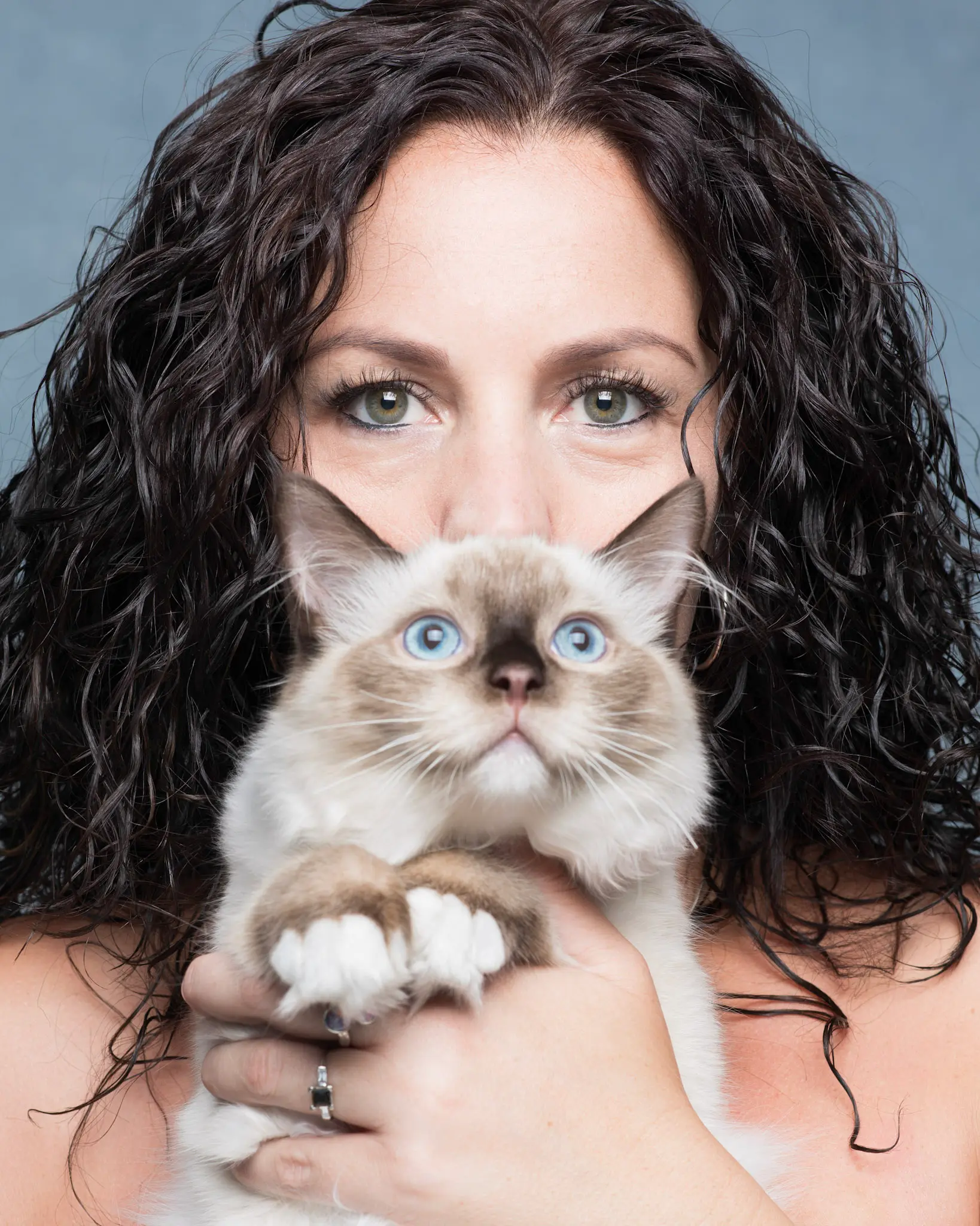 Kelly Davis holding a cat during a calm grooming session